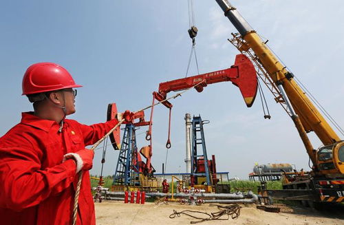 中国石油辽河油田曙采厂 全面完成原油产量与商品量两大考核指标