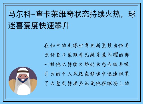 马尔科-查卡莱维奇状态持续火热，球迷喜爱度快速攀升